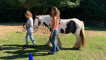 „Aktiv entspannt“ mit Pferden