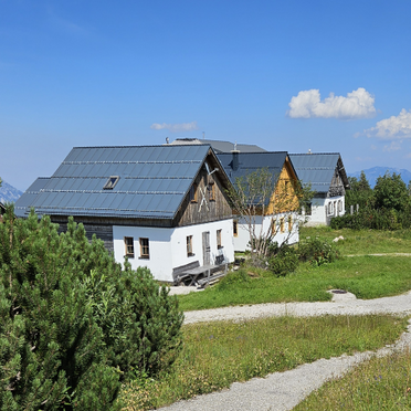 Summer, Schönberghütte am Feuerkogel, Ebensee, Oberösterreich, Upper Austria, Austria