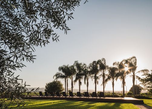 Biohotel La Casa die Melo: Ausblick mit Palmen - Bio-Agriturismo "La Casa di Melo", Siracusa, Sizilien, Italien