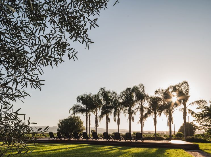 Bio-Agriturismo "La Casa di Melo", Siracusa, Sicilia, Italia (1/28)