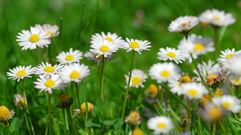 Frühling im sonnigen Süden