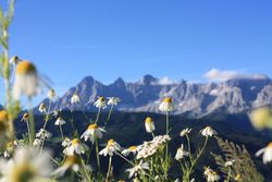 Das Dachsteingebirge in Österreich