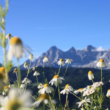 Aussicht, Chalet Dachstein , Pichl, Schladming-Dachstein, Steiermark, Österreich