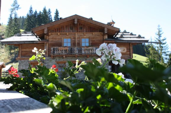 Sommer, Oberprenner Almchalet, Haus im Ennstal, Schladming-Dachstein, Steiermark, Österreich