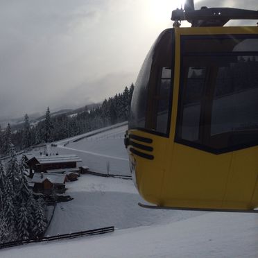 Winter, Oberprenner Almchalet, Haus im Ennstal, Schladming-Dachstein, Styria , Austria