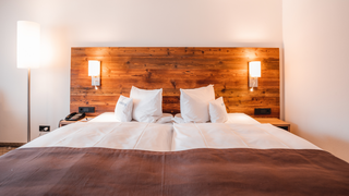 Johannisbeere (28 m²) Image #3