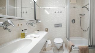 Berberitze mit Südbalkon (28 m²) Image #2