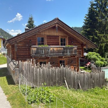Summer, Chalet Steinbock, St. Martin, Salzburg, Salzburg, Austria
