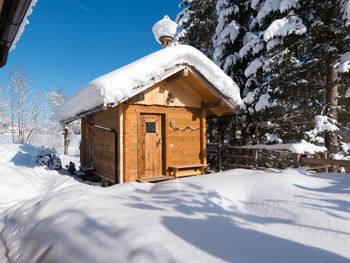 Chalet Steinbock - Salzburg - Österreich