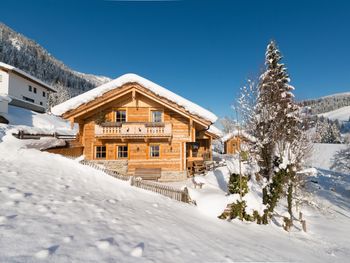 Chalet Steinbock - Salzburg - Österreich