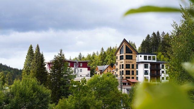 Waldhotel am Notschreipass