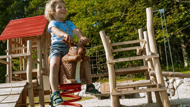Family Hit – Regio Attraktionen inklusive ab 4 Nächte