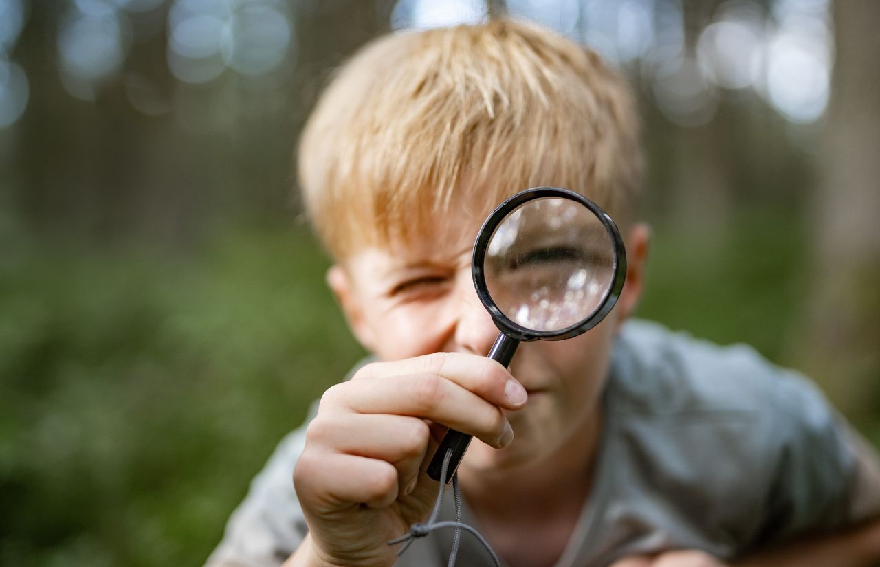 Kinderprogramm Wälderfuchs.jpg