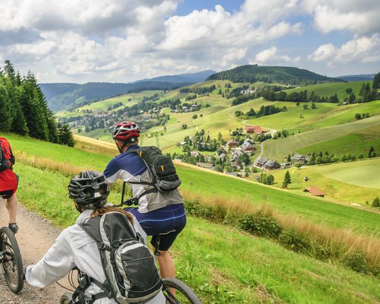 Discover the 3-country corner by bike | 3 nights