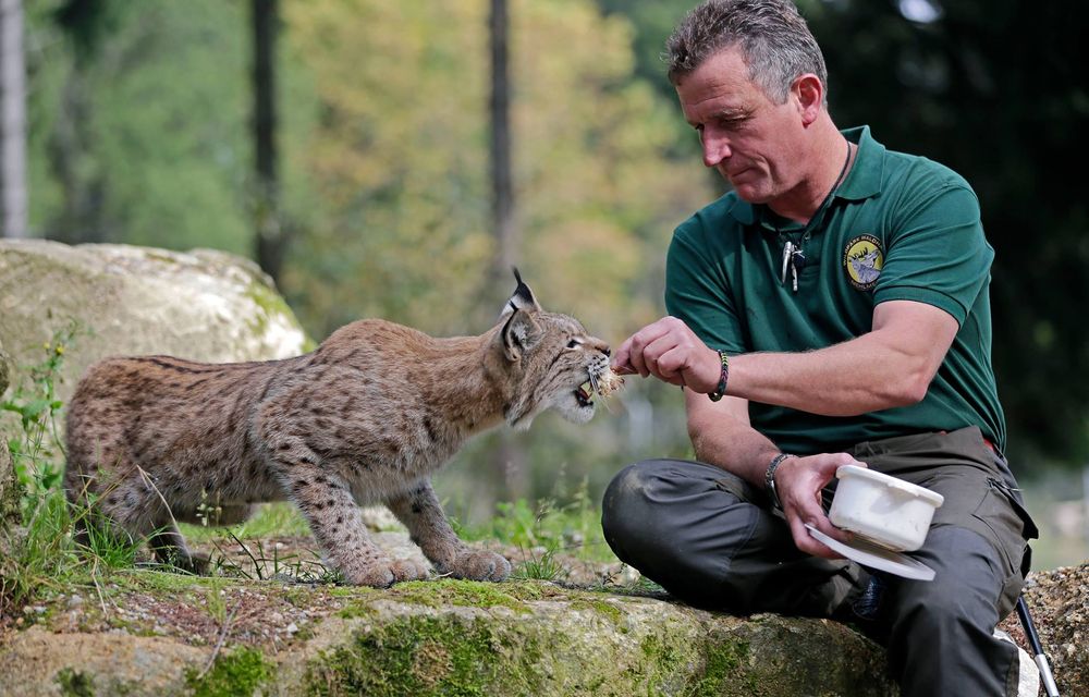 Gratis-Familien-Ticket für den Wildpark