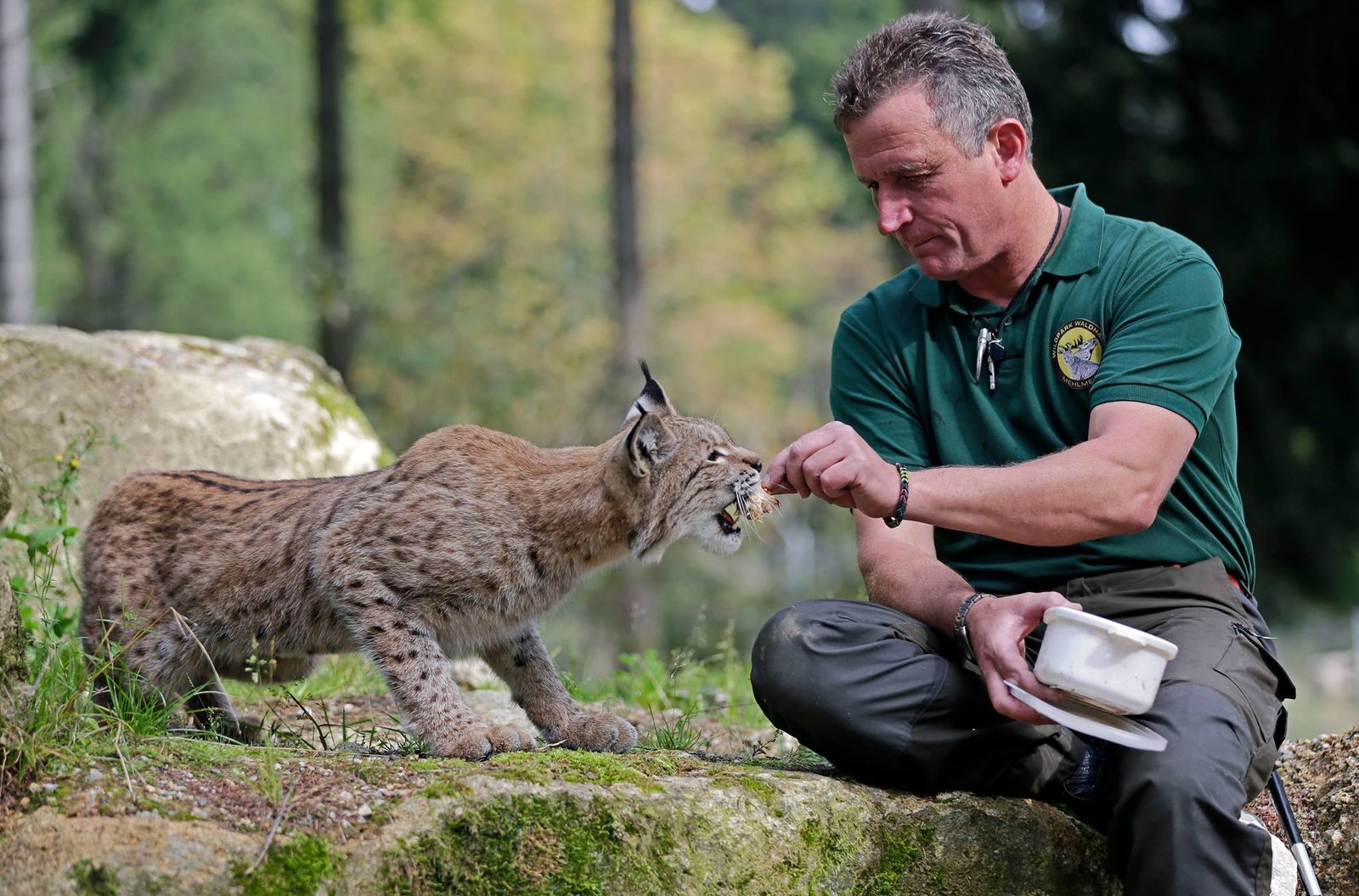 Urlaub mit der Familie und Tieren im Familotel FamilienKlub Krug | Familotel Fichtelgebirge | Hotel Krug