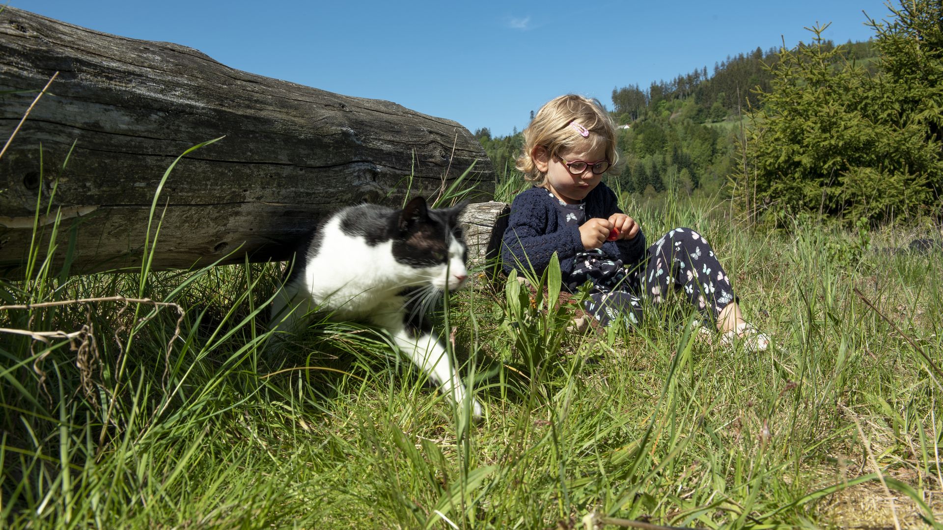 Natururlaub im Familotel Mein Krug | Familotel Fichtelgebirge FamilienKlub Krug | Mein Krug | Hotel Krug