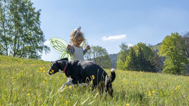 Sommer. Sonne. Urlaubsglück.