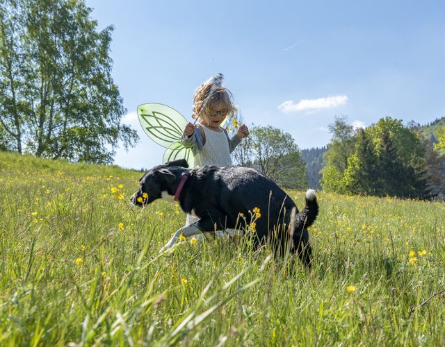 Angebot: Sommer. Sonne. Urlaubsglück. - Mein Krug