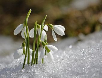 Top Angebot: Bio-Wellnessurlaub mit Bergblick im März Special 4 Nächte - Bio-Berghotel Ifenblick