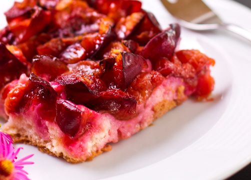 Biohotel Ifenblick: Plum cake - Bio-Berghotel Ifenblick, Balderschwang, Allgäu, Bavaria, Germany