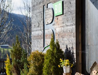 Top Angebot: Fastenwoche im Allgäu - Bio-Berghotel Ifenblick