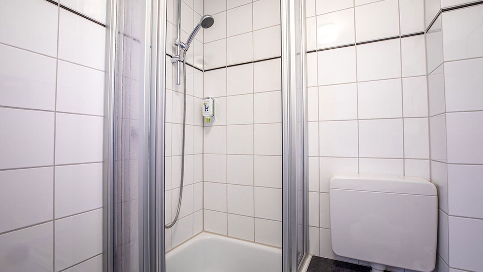 Ulme image 4 - Familotel Sauerland Ottonenhof