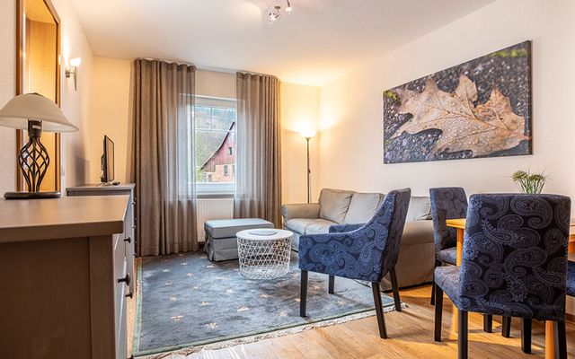 Unterkunft Zimmer/Appartement/Chalet: Buche | 35 qm - 2-Raum