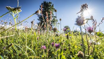 Sommerauszeit unter der Woche