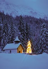 5-Nächte-Weihnachtsarrangement 2026 / Frühbuchervorteil