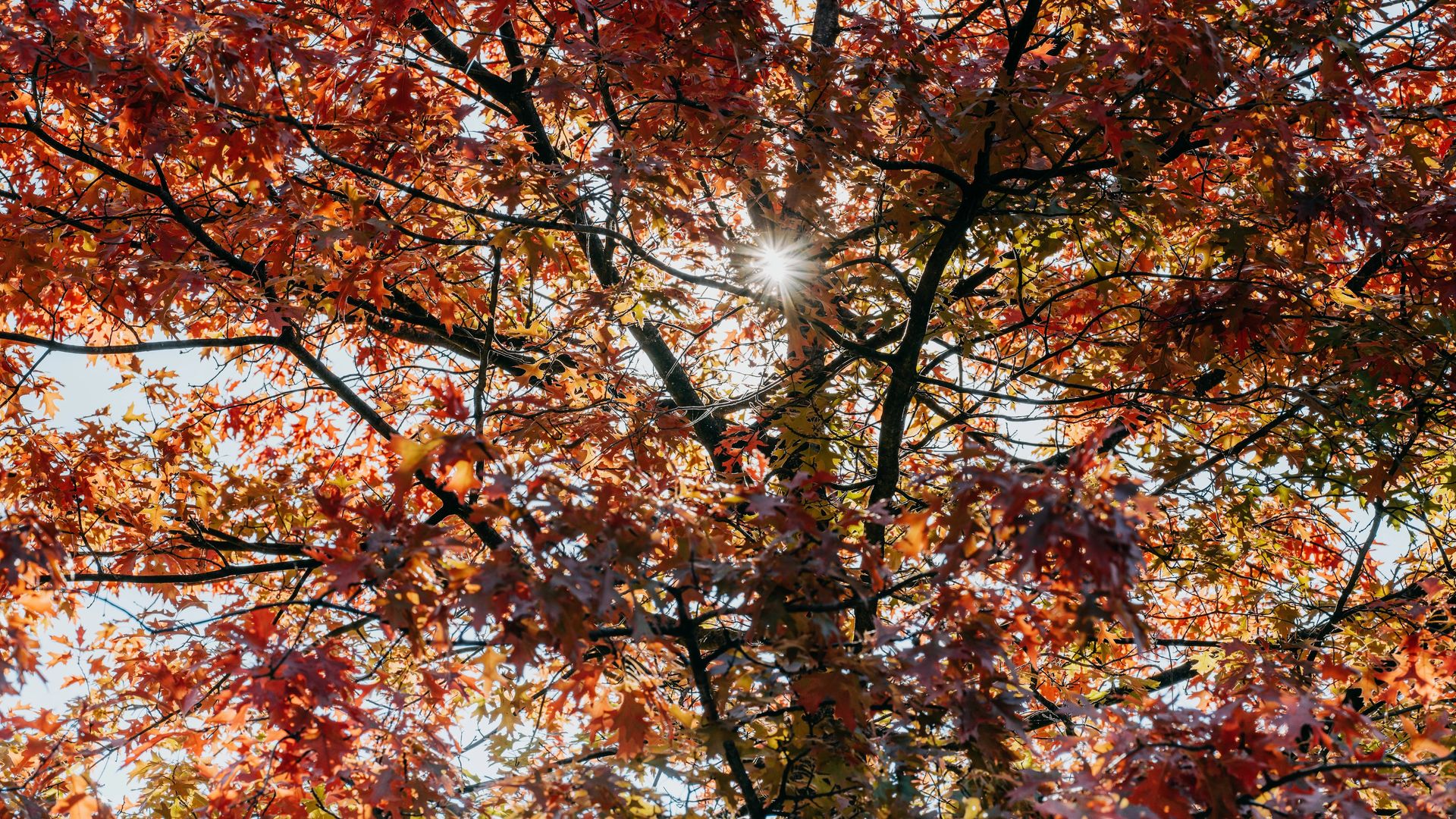 Herbstliche Auszeit
