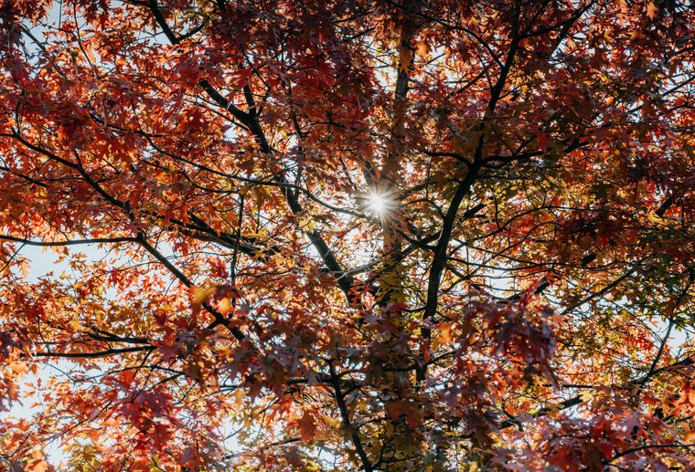Romantik Hotel Jagdhaus Eiden am See: Herbstliche Auszeit