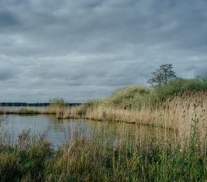 Romantik Hotel Jagdhaus Eiden am See: Genusstage