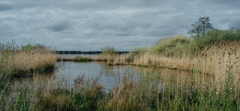 Romantik Hotel Jagdhaus Eiden am See: Genusstage