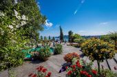 Flower Power am Bodensee