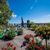 Flower Power am Bodensee