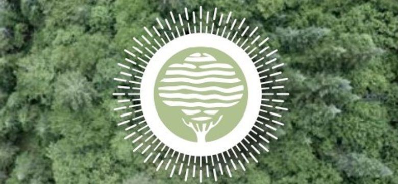 im Himmelreich Wellness- & Erlebnisresort Sonnenhof : Paket HOLZ
