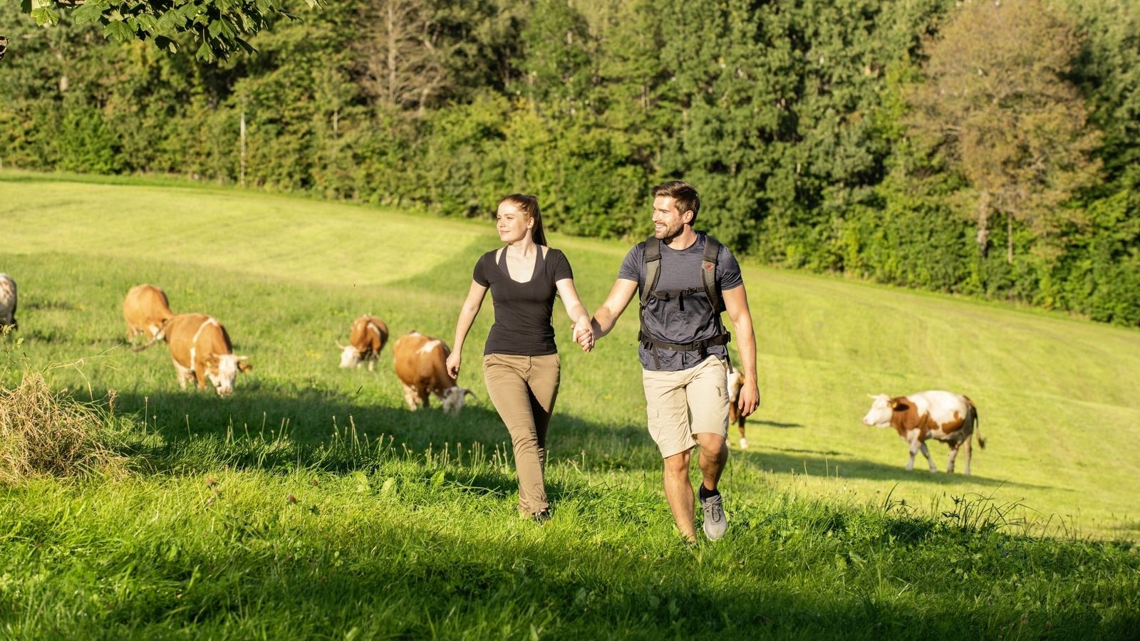 Bild #38 - im Himmelreich Wellness- & Erlebnisresort Sonnenhof