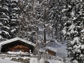 Jägerhütte - Trentino-Südtirol - Italien