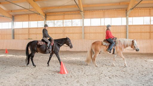 14 Pferde und Ponys warten im Westernreitstall auf Dich.