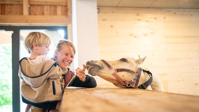 Reiterglück – Urlaub für kleine Pferdefans