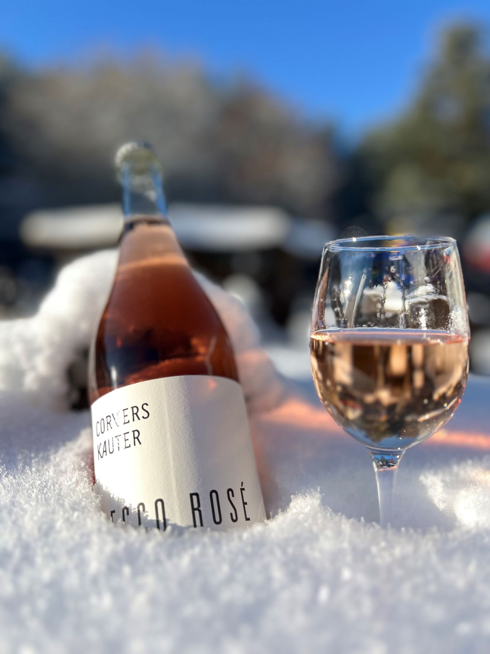 Happy New Year - Weekend image 3 - Familotel Mecklenburgische Seenplatte Borchard's Rookhus