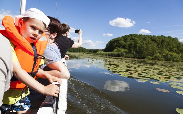 Unser Osterei für euch image 1 - Familotel Mecklenburgische Seenplatte Borchard's Rookhus