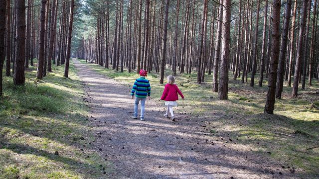 Urlaub im Nationalpark