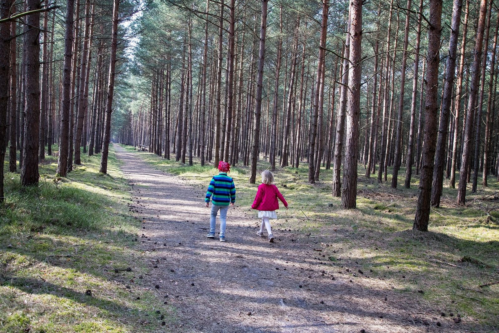 Urlaub im Nationalpark image 1 - Familotel Mecklenburgische Seenplatte Borchard's Rookhus