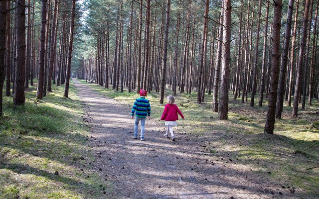 Urlaub im Nationalpark image 1 - Familotel Mecklenburgische Seenplatte Borchard's Rookhus