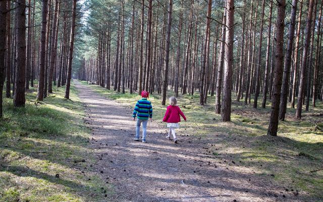 Urlaub im Nationalpark image 1 - Familotel Mecklenburgische Seenplatte Borchard's Rookhus 