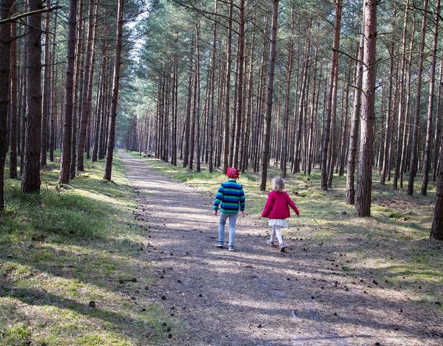 Angebot: Urlaub im Nationalpark - Borchard's Rookhus