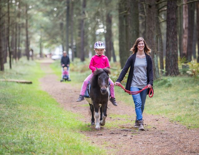 Angebot: Kidswochen (2-7 Jahre) - inkl. Ponyreiten - Borchard's Rookhus