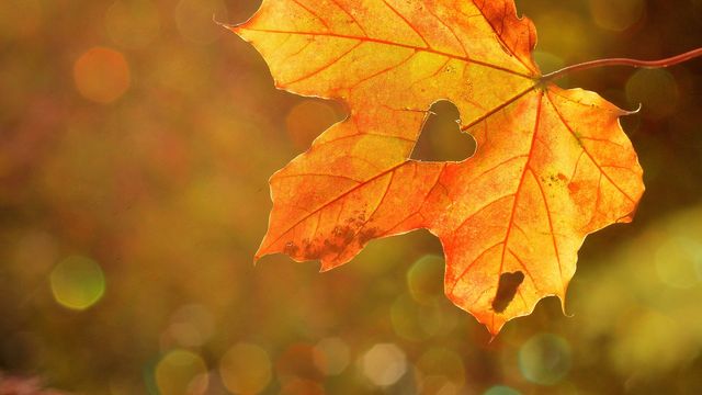 Herbstferien im Harz